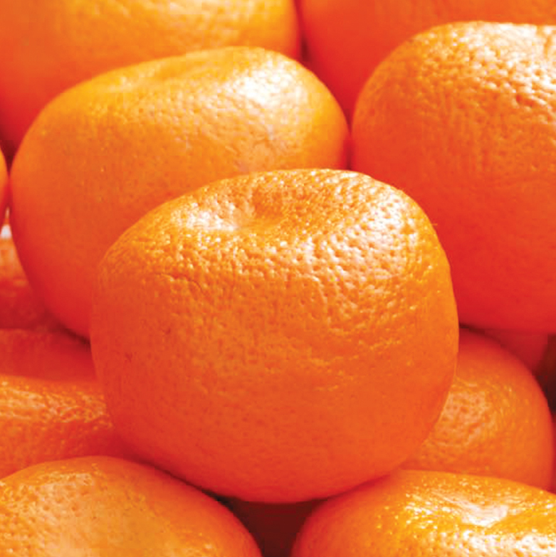 Oranges Indian 