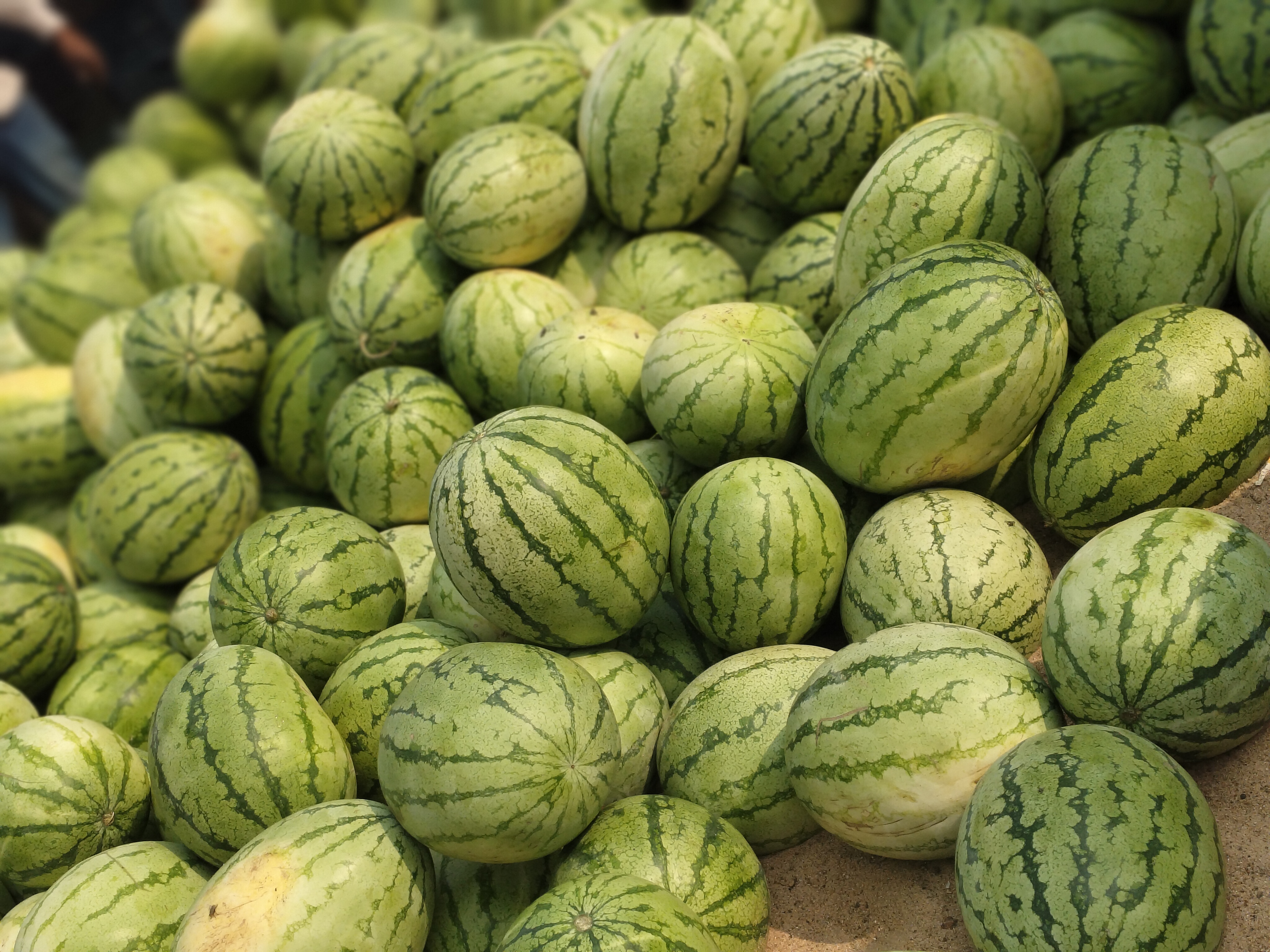 Watermelon